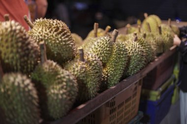Tropikal egzotik lezzetlerin peşinde koşan, geniş bir olgun Durian meyvesi koleksiyonu, hareketli pazarda mükemmel bir şekilde sergileniyor, eşsiz bir aşçılık macerası vaat ediyor.