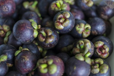 Lezzetli taze mor mangosteen meyvesi koleksiyonu, lezzetli tropikal yiyecekler. Egzotik, tatlı ve sağlıklı ikramlar canlı tatlar sunar, doğal iyilik ile yenen atıştırmalıklar için mükemmeldir.