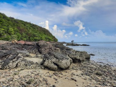 Bereketli yeşil tepeleri ve bulutlu gökyüzü altında sakin mavi okyanusları olan Rocky plajı huzur ve doğal güzelliği çağrıştırıyor.