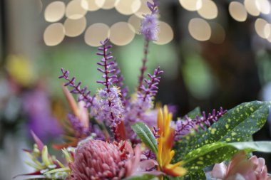 Canlı çiçek aranjmanları neşe ve güzellik yayar. Renkli çiçeklerin ve yemyeşil yaprakların hoş bir karışımı sergilenir. Yumuşak, bokeh arkaplan ile sanatsal bir şekilde bestelenir.