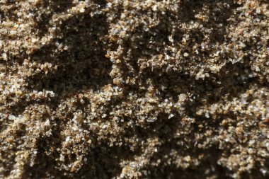 Doğal kum dokusu arka planının sakin makrosu. Yüzeyin detaylı soyut desenleri her küçük taneyi güzel, kahverengi tonlarda gösteriyor.