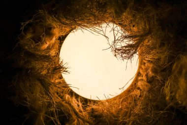 Karanlık ve soyut bir yuvadan parıldayan sıcak ışık küresi. yuvarlak şekil enerji, umut ve doğum kavramları için rahat ve ilgi çekici bir arka plan sağlar