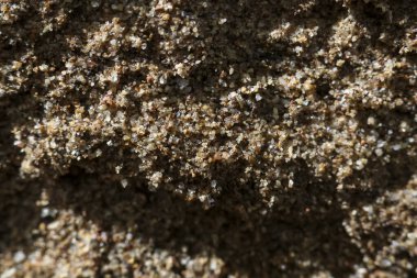 Kaba kum dokusunun doğal soyut arka planı. Kahverengi, toprak parçacığı ve mineral tanecikli yüzeyin makro detaylı çekimi sakin, basit bir sahne yaratır.