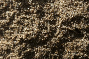 Kaba kahverengi kumların doğal tahıl detaylarıyla makro arka plan dokusu. Bu topraksı, soyut desen, yapı veya malzeme kavramları için mükemmel kaba, tahıl tanecikli bir yüzey yaratır.