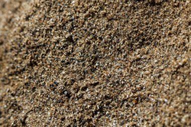 Kahverengi kum dokusu detaylı yüzey ve makrodaki tahılları gösteriyor. Bu doğal materyal deseni her tasarım için basit ve dünyevi duygular yaratır.