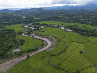 Canlı yeşil pirinç tarlalarından akan kıvrımlı nehrin ve geniş tarım arazisinin huzurlu hava manzarası. Görkemli dağ sıraları manzaralı kırsal bölge bulutlu gökyüzünü çevreleyerek huzur verici