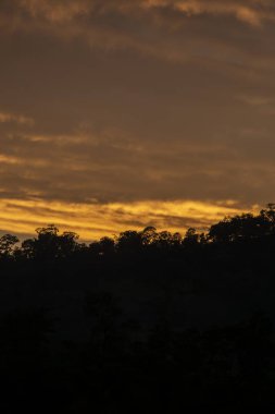 Huzurlu günbatımı gökyüzü, huzurlu orman siluetinin üzerine altın turuncu bir parıltı saçarak huzur ve güzel doğa manzarası yaratır. Atmosferik manzara huzur dolu bir akşamı anımsatıyor.