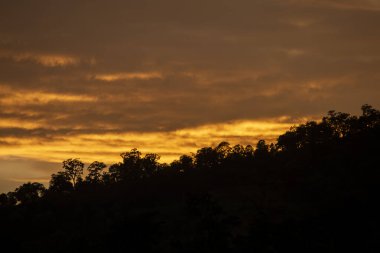 Canlı turuncu ve sarı günbatımı gökyüzünü yıkayarak huzurlu doğal bir manzara yaratır. Karanlık orman silueti güzel akşam parıltısına karşı huzur ve sükunet hissi verir, sükuneti teşvik eder.