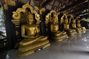 Güzel altın Buda heykellerinin çizgisi sakin ve huzurlu bir atmosfer yayar, derin derin düşüncelere daldırır. Karmaşık altın ayrıntıları geleneksel olarak manevi anlamlarını vurguluyor