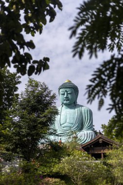 Muazzam Buda heykeli, saygıdeğer Daibutsu anıtı, Japonya 'nın huzurlu tapınak manzarasına hükmediyor. Asya dininin eski bir temsili, bereketli ormanlarla çevrili meditasyonu davet ediyor.