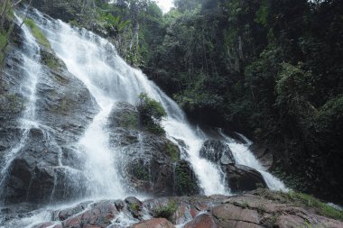 Yeşil tropikal ormanların ortasındaki yosunlu kayaların üzerindeki görkemli şelaleler güçlü doğal manzarayı ortaya çıkarıyor. Serin, akan su canlandırıcı ve canlandırıcı bir kaçış sunar.