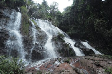 Bereketli yeşil ormandan gelen güzel şelaleler koyu kayaların üzerinden akar ve canlı bir dere oluşturur. Tropikal orman düzeni, dingin doğa ve barışçıl açık hava güzelliği.