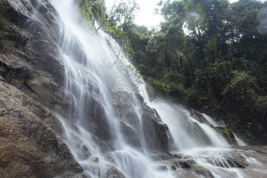 Parlak yeşil orman yapraklarıyla çevrili engebeli kaya yüzeyinde görkemli şelaleler. Güçlü su huzur verici, ferahlatıcı bir manzara yaratır, merak ve doğal güzelliği çağrıştırır.