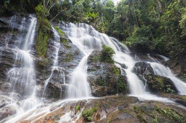 Güçlü şelaleler yemyeşil yağmur ormanlarında çağlıyor, berrak suları karanlık kayaların üzerinde akıyor. Doğal ortam, sakin, sakin orman sahnesini canlandırır. Açık hava macerası için mükemmeldir.