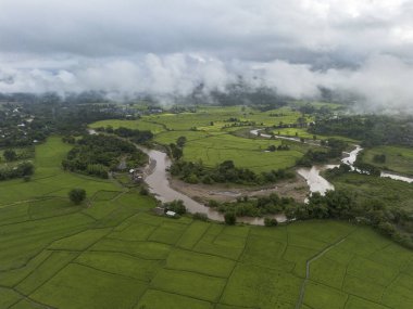 Havadan bakıldığında dalgalı yeşil pirinç tarlalarından akan kıvrımlı nehir bulutlu gökyüzünü gösteriyor. Huzurlu manzara, tarımsal güzelliği ön plana çıkaran, barışçıl, doğal bir çevreyi çağrıştırıyor.