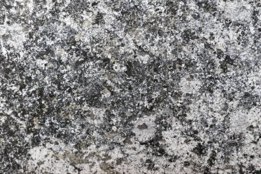 Distinct gray and black texture rough stone surface. Weathered rock or granite presents durable concrete background, showcasing natural white and dark patterns resilient material. It evokes