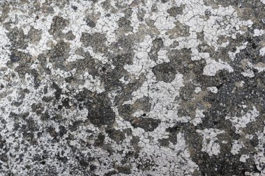 Rough concrete texture peeling white paint over dark gray. Distressed grungy and aged surface shows decay natural wear creating an abstract rugged weathered pattern. Ideal for industrial design