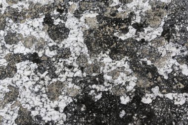Rough weathered surface displaying intricate patterns of dark grey and white patches, showcasing natural grunge texture. unevenness creates compelling background, evoking sense of time and history