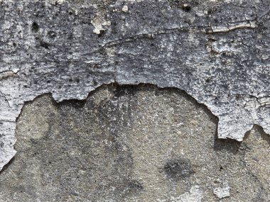 Eski gri beton bir duvarın üzerini boyayarak kapatın. Grunge dokusu, yıpranmış ve çatlamış yüzey için soyut bir arkaplan oluşturan bozulma ve hasarı gösteriyor.