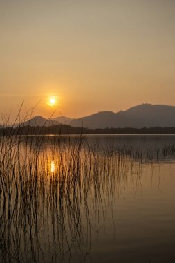 Sakin altın gün batımı dağ siluetiyle sakin göle yansıyor. Ön plandaki uzun sazlıklar doğada huzur ve sükunet hissi yaratıyor.