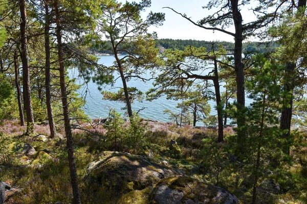 Stockholm Sweden Sea View from the Forest: A scenic landscape featuring a breathtaking view of the Baltic Sea from the lush forests near Stockholm, Sweden.