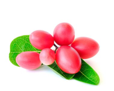 Carissa Carandas beyaz arka planda yapraklar.