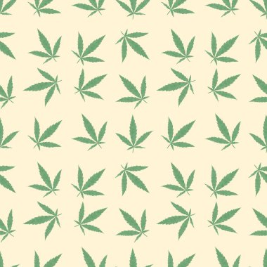 Arka planda marihuana yaprağı dikişsiz desen.