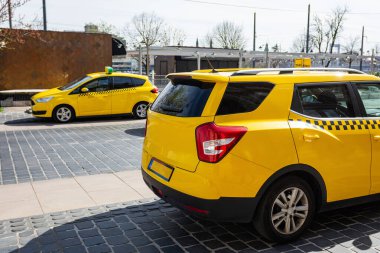 Panda hayvanat bahçesinde, Hong Kong Çin 'de.