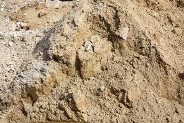 Panda hayvanat bahçesinde, Hong Kong Çin 'de.