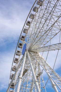 Panda hayvanat bahçesinde, Hong Kong Çin 'de.