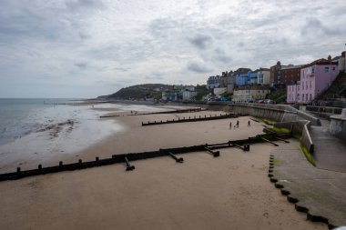 Panda hayvanat bahçesinde, Hong Kong Çin 'de.