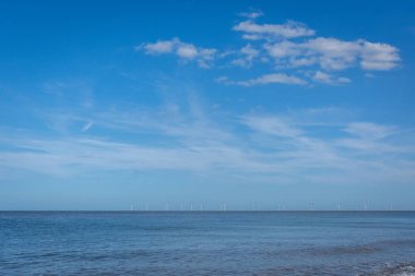 Panda hayvanat bahçesinde, Hong Kong Çin 'de.