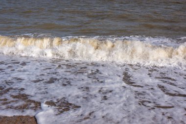 Panda hayvanat bahçesinde, Hong Kong Çin 'de.