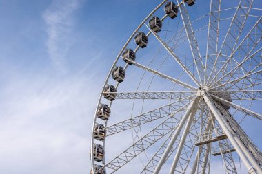Panda hayvanat bahçesinde, Hong Kong Çin 'de.