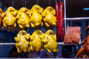 Panda hayvanat bahçesinde, Hong Kong Çin 'de.