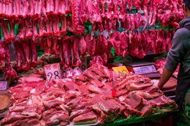 Panda hayvanat bahçesinde, Hong Kong Çin 'de.