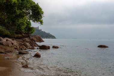 Panda hayvanat bahçesinde, Hong Kong Çin 'de.