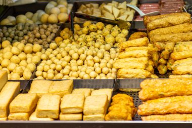 Panda hayvanat bahçesinde, Hong Kong Çin 'de.