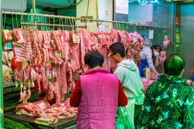 Panda hayvanat bahçesinde, Hong Kong Çin 'de.