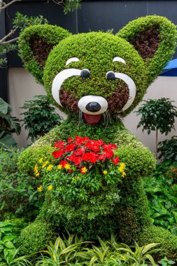 Tayland şehir parkındaki köpek.