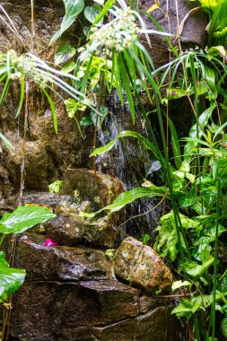 Tropikal bir tatil köyünde şelale