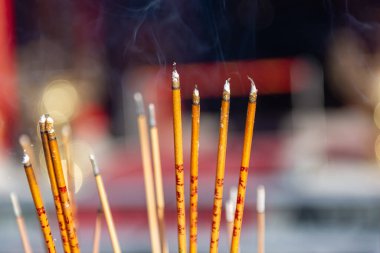 Hong Kong 2024 Seyahat