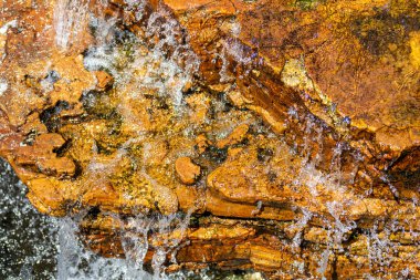 Hong Kong 2024 Seyahat