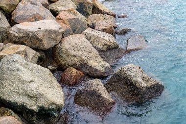 Hong Kong 2024 Seyahat