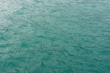 Hong Kong 2024 Seyahat