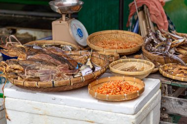 Hong Kong 2024 Seyahat