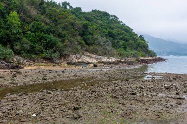 dağ deniz sahilinden görünümü