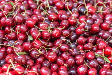 Yeşil saplı bir kiraz yığını