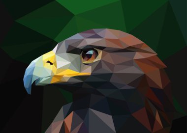 Kahverengi kartal kafasının düşük polivektör çizimi