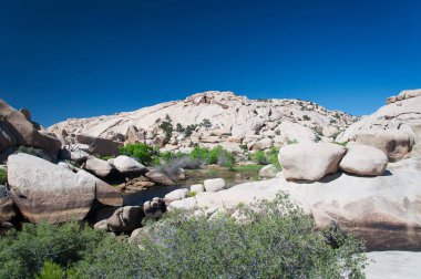 Kurak çöl ekosistemindeki kaya oluşumları ve su Joshua Tree California 'daki Joshua Tree Ulusal Parkı' ndaki baraj patikasında..